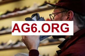 费内巴切迎战阿兰亚体育 · 实时赛事